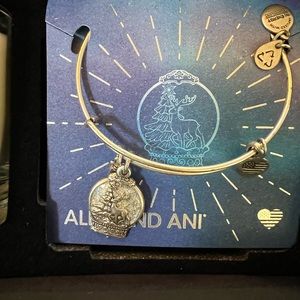 Alex and Ani Christmas a gift set